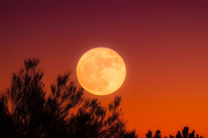 Moonrise Meditation: Harnessing Lunar Energy for Mindfulness