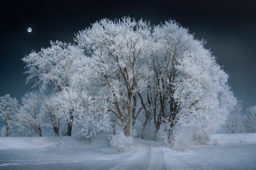 Unraveling Lunar Mysteries: The Fascinating Science of Selenology