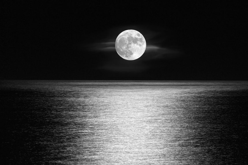 Celestial Glow: How the Full Moon Affects Tides, Wildlife, and Our Emotions